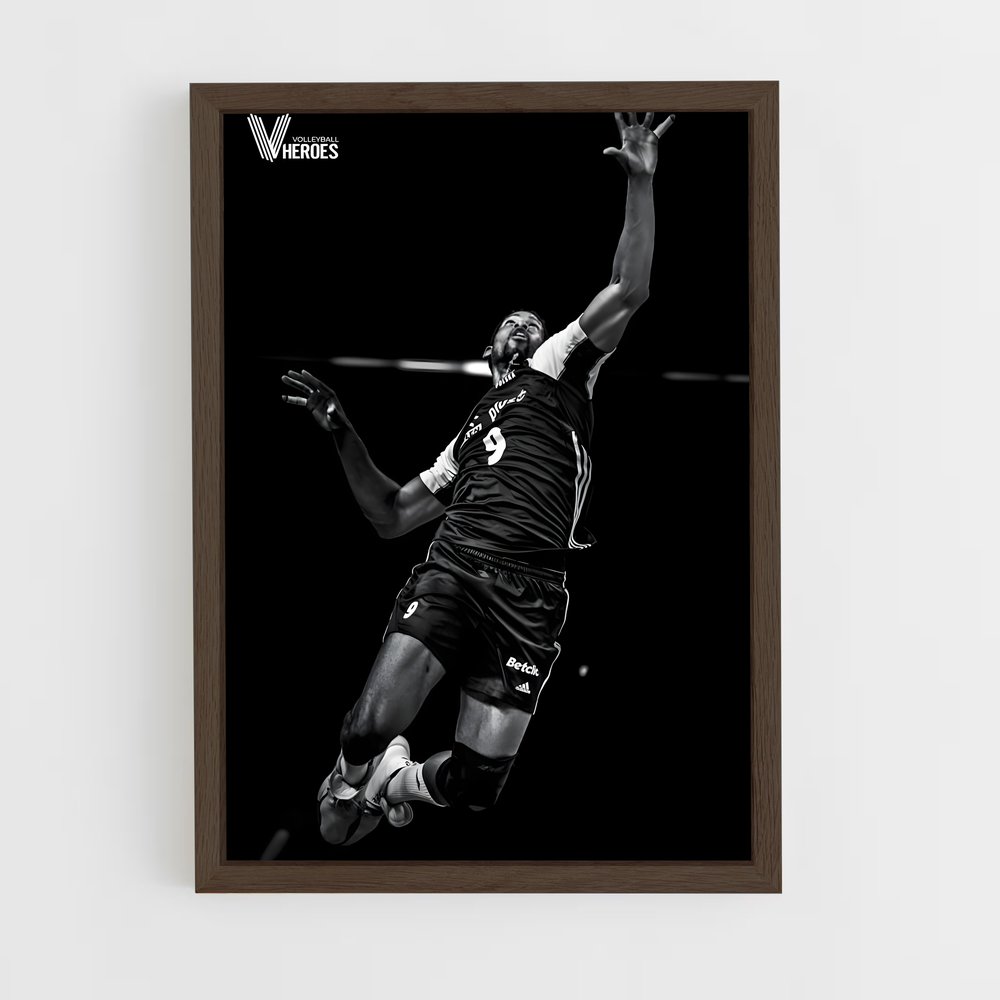 Poster Saut de Léon – affiche Volleyball (vue 5)